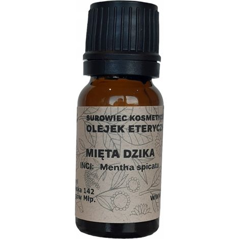 Aceite esencial de menta silvestre (1/4)