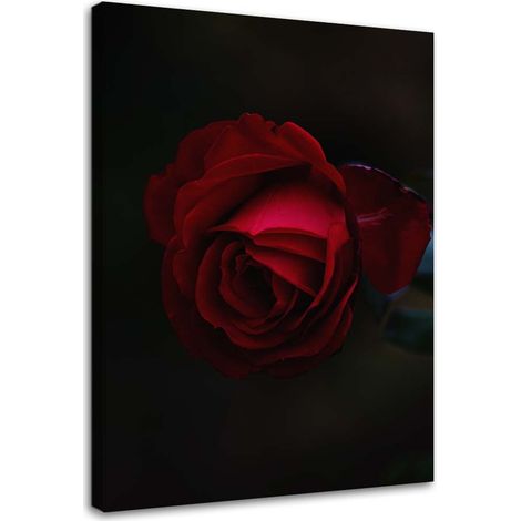 Tableau déco Rose rouge fleur nature 40x60 (1/5)