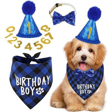 Chapeau bleu pour animal de compagnie, décoration d'anniversaire pour chien (1/5)