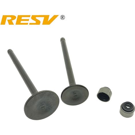 Adecuado para Yamaha TW125 1999-2004 SR125 SR150 SRZ150 SR SRZ 125cc 150cc Válvula de admisión Válvula de escape Sello de aceite de vástago de válvula (válvula - un juego) (1/2)