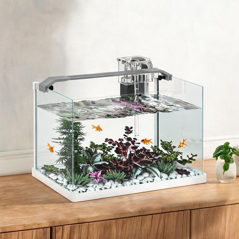 Aquarium verre 20L avec filtre cascade et LED bleu blanc en verre (1/5)