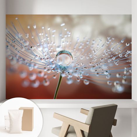 Papier peint intissé décoratif avec colle pour salon chambre et bureau Installation rapide Goutte sur une fleur de pissenlit 104x70 cm (1/5)