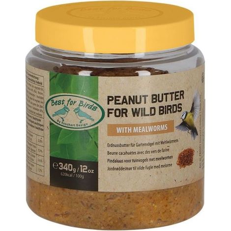 Beurre de cacahuètes vers farine pour oiseaux du jardin