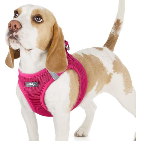 Harnais pour Chien Réglable et Respirant - Gilet Confortable en Maille Aérée avec Bandes Réfléchissantes pour Petits et Moyens Chiens (1/5)