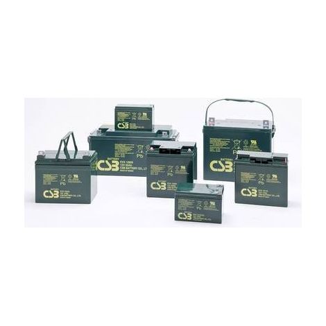 CSB Battery EVX 12400 EVX12400-I1 Batteria al piombo 12 V 40 Ah Piombo-AGM (L x A x P) 197 x 170 x 165 mm Vite M5 (1/2)