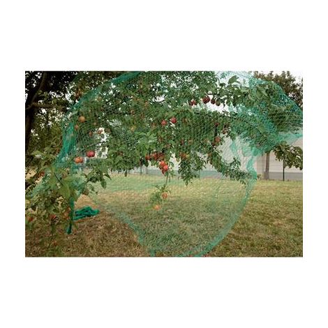 Ribiland – Filet anti-oiseaux et insectes 2x5 m – Polyéthylène haute densité traité anti-UV – Maillage 18 mm pour protection des cultures (1/10)