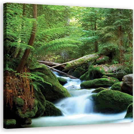 Tableau déco Forêt Montagnes Ruisseau Nature 30x30 (1/5)