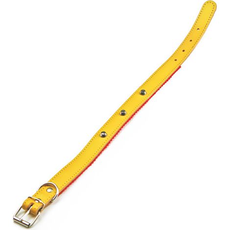Utilia Pet COLLARE IN CUOIO FELPATO CON BORCHIE cm. 51x2,5 col. Assortiti 6.00 pz