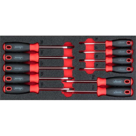 VigorV4991 Jeu de tournevis Torx
