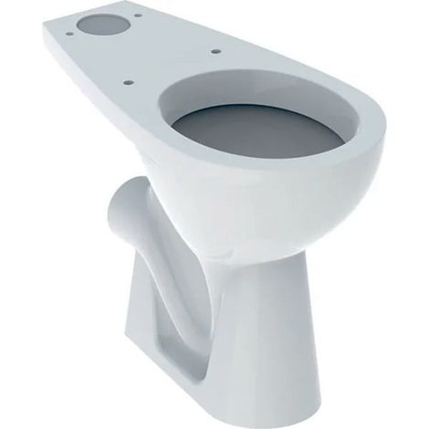 Geberit – Cuvette pour WC à poser surélevée PMR – Évacuation horizontale – Céramique blanche – Modèle avec bride – Dimensions 66 x 36 cm