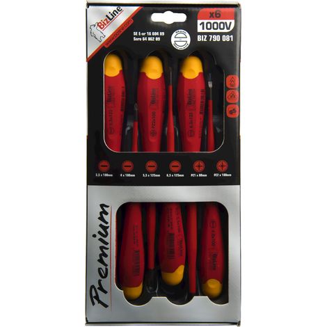 Kit de 6 tournevis isolés 1000V – Empreinte plat et PZ – Longueur 100 à 125mm – 790081 – Bizline