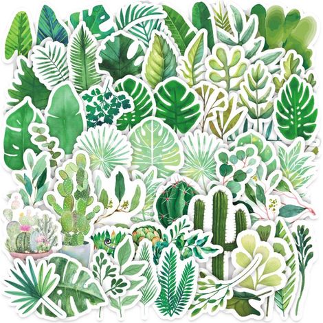 Autocollants De Plantes Vertes,Lot De 50 Autocollant De Cahier Bricolage,Griffonnage De Plante Verte Pour Bouteilles D'eau,Scrapbooking Album Photo Autocollant Livre (1/5)