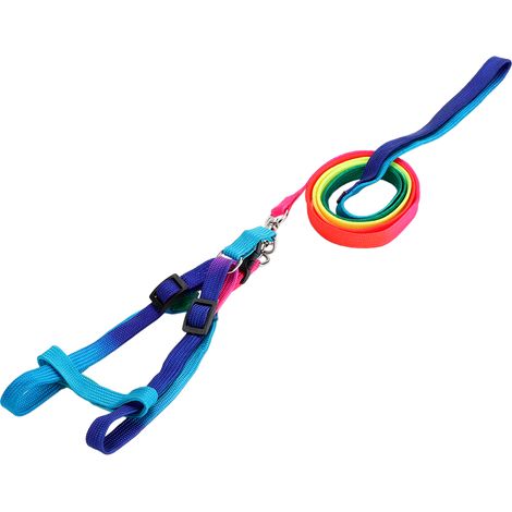 Harnais Et Laisse En Nylon Réglable Pour Chien Chat Lapin - Multicolore Léger Et Durable - Taille Unique (1/5)