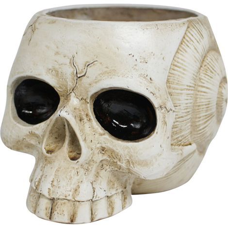 Skull-shaped resin flower pot, gothic succulent planter stand, ornament for home and office decoration (1/5)