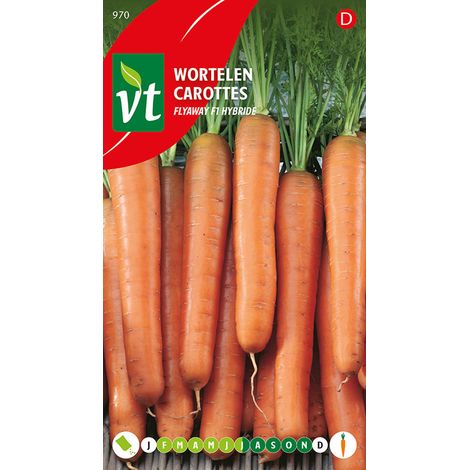 Carottes Flyaway F1 Hybride - Ca. 2 gr (Livraison Gratuite)