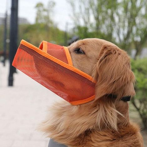 Protège-dents TRoki confortable et respirant pour chien : une muselière permettant de boire et de manger librement, sans irritation (1/5)