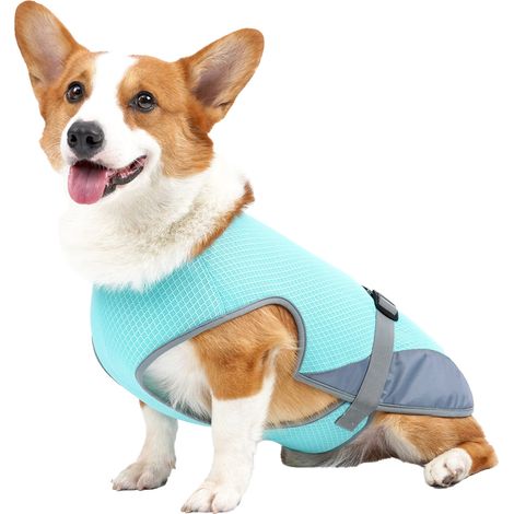 Gilet rafraîchissant pour chien, veste respirante, chemise légère pour animaux de compagnie, pour les activités de plein air d'été, bleu clair L (1/5)