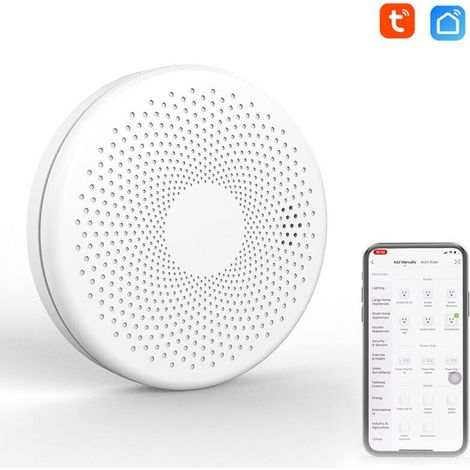 Détecteur d'incendie domestique composé de fumée et de monoxyde de carbone Tuya Wifi 2 en 1 (1/5)
