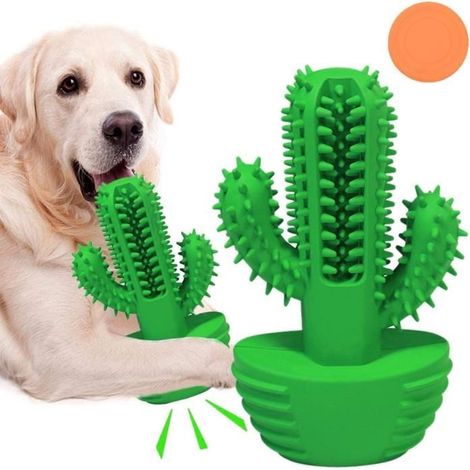 Jouet pour Chien,360°Brosse pour Chien,Jouet Chiot,Soin des Dents os Chien à Macher,Bâton molaire de cactus-Convient à 45 LB (1/4)
