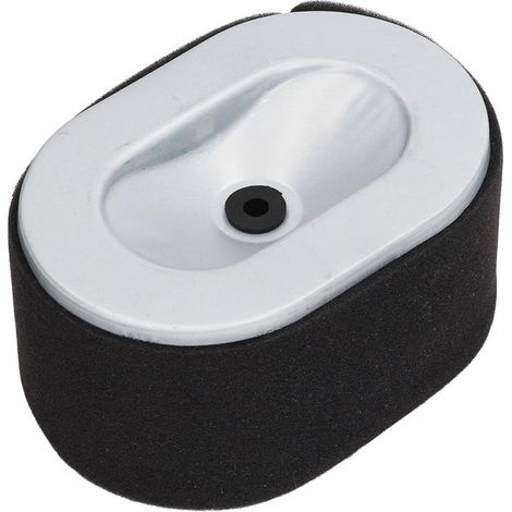 Filtre à Air de Rechange pour Générateur, Compatible avec 186F 188F 192F, Résistant à l'Usure. (1/4)