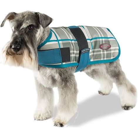 CAPA + Trendy Breathe Comfort Aquamarine CAPA + TRENDY BREATHE COMFORT AGUAMARINE 30CM
