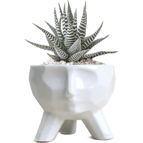Keramik-Pflanztopf für Sukkulenten-Bonsai (Größe: S)