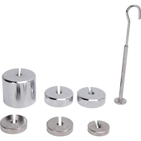 Laboratoire de poids à fente, ensemble de masses à fente de laboratoire en acier chromé précis 200 g 50 g 20 g 10 g pour la recherche en classe (1/5)