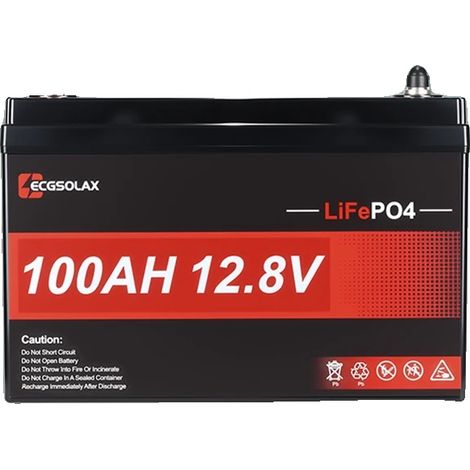 Batterie Lithium, Capacité 100Ah, Coupure à Basse Température, 12V 100Ah (1/5)