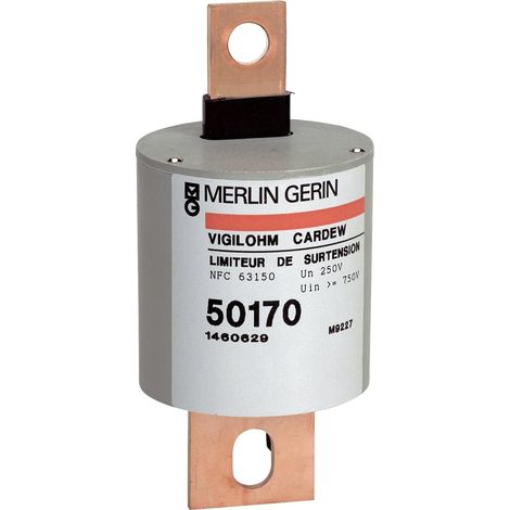 Cartuccia Cardew per Vigilohm - Tipo C - 440 V - 50171