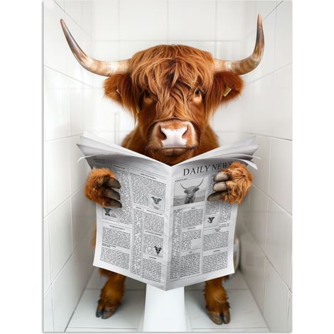 AFFICHE Scottish Highlander - Animal - Journal - Toilette Décoration Murale 60x80 cm (1/4)
