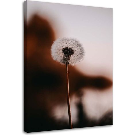 Tableau sur toile Plantes de pissenlit 60x90 (1/5)