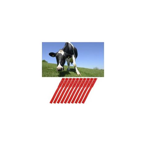 10 pièces colliers d'identification de vache de bétail anneaux de marquage pour l'élevage de bétail rouge