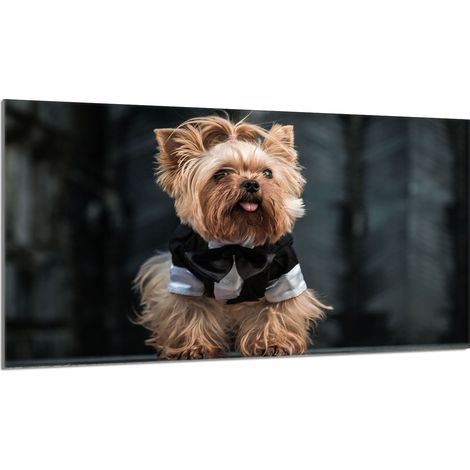 Placa protectora de cristal para estufa 90x52 Perro (1/5)
