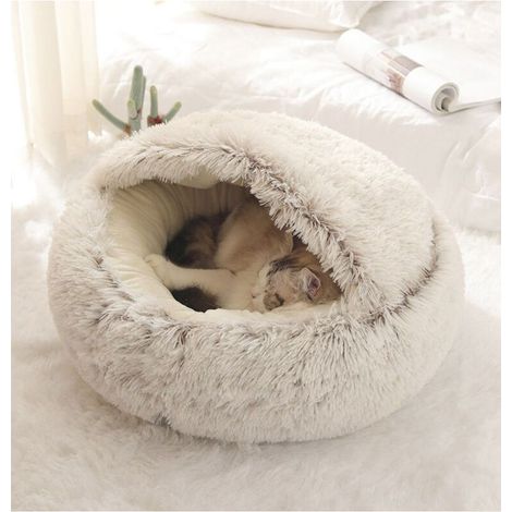 Lit illet pour Chien et Chat avec Housse Lavable - Panier et Coussin Confortable pour Petits Animaux de Compagnie (50x50cm) - Chaud et x