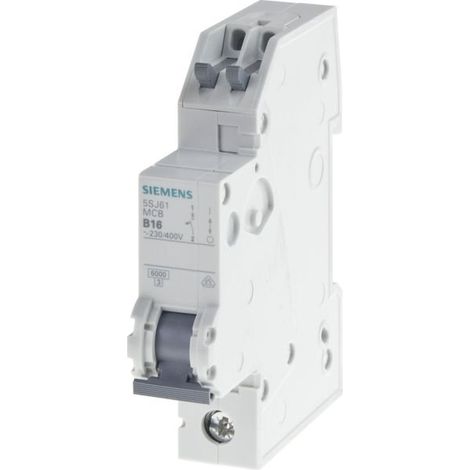 Interrupteur Siemens 5sj6110-6ks 10A capacité 6kA