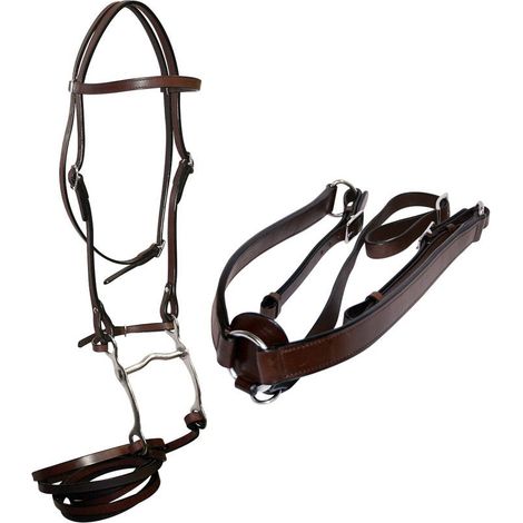Set per monta western pettorale redini e testiera con morso in cuoio