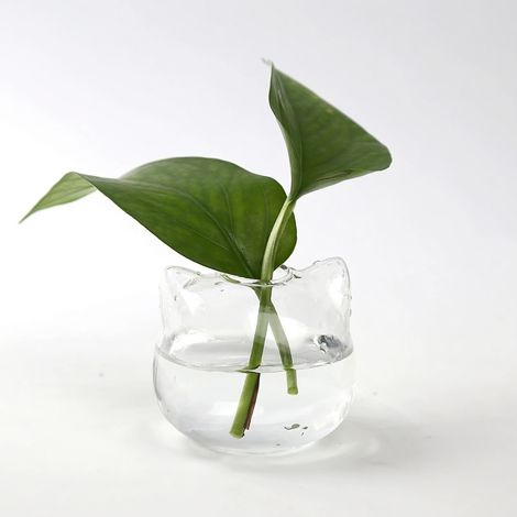 Jarrón seta de vidrio transparente modelo 23 (1/5)