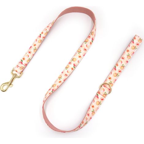 Collier et laisse pour chien motif fleur et fruit Coton Taille S Couleur pêche (1/2)