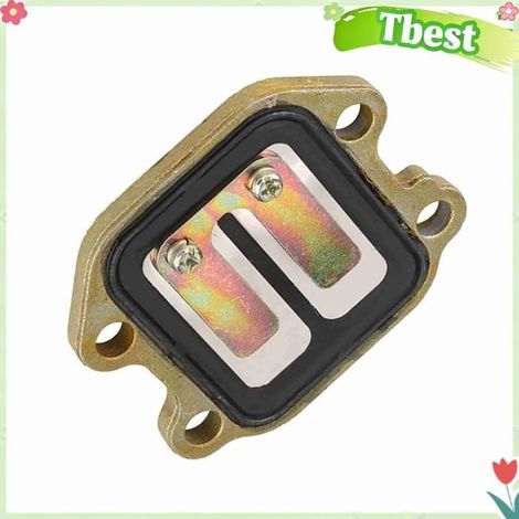 Tbest Soupape à lames d'admission Ensemble de Soupape de Roseau D'admission de Moto Durable pour PW50 1981-2009, Fait auto coffret (1/5)