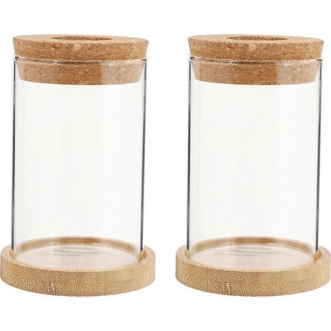 Lot de 2 vases hydroponiques pour plantes, terrarium résistant, décoration élégante pour la maison (1/5)