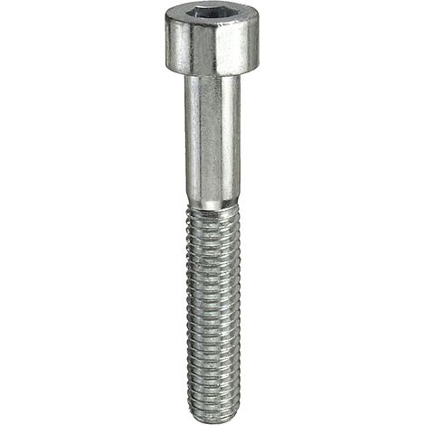 Viti testa cilindrica esagono incassato M5 x 25 - 8 pz.