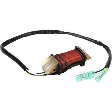 Bobine D'Éclairage Assy pour M 9.9 15 18 2002-2003 Hors-Bord 3G2-06023-1 (1/4)