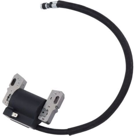 Bobine D'allumage pour 492341 490586 491312 495859 715231 591459 Pièces de Tondeuse à Moteur (1/5)