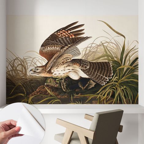 Fotomurale adesivo - parete decorativa - decorazione casa - stile moderno parete - Bellezza alata 104x70 cm (1/5)