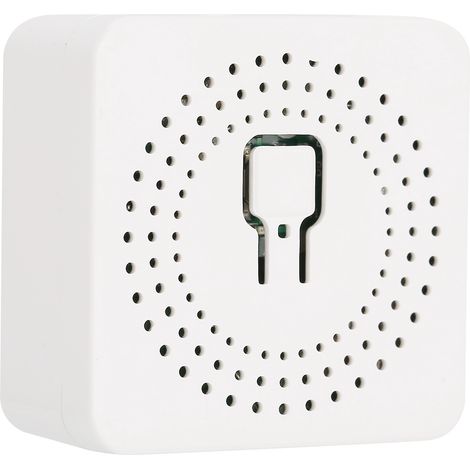 Interrupteur WiFi 16A Mini Module Intelligent Commande Double à Distance 100-240V (1/5)