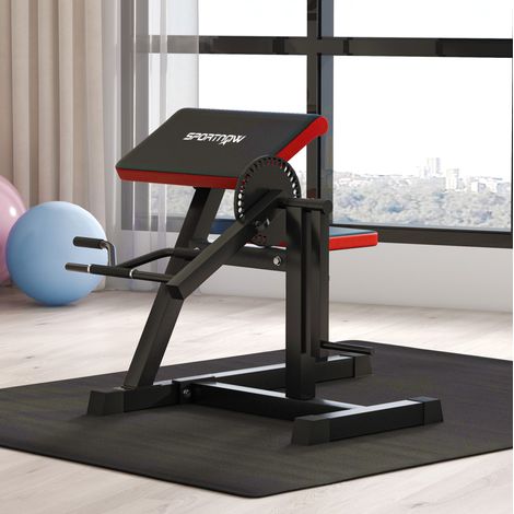 Bizeps-/Trizeps-Curlbank mit 5-fach verstellbarem Sitz, 25 Winkeln, max. 60 kg HAVRYA (1/5)