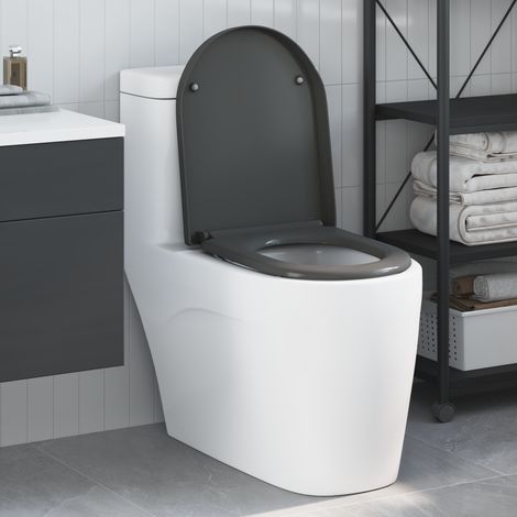 Toilettensitz Quick Release Absenkautomatik Duroplast Anthrazit vidaXL916315 (1/5)