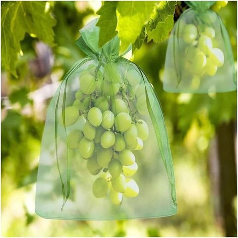 Manchons à bulles / sacs de protection pour fruits (paquet de 50) conviennent à la culture de fruits tels que les raisins, les fraises, les litchis et les cerises. (1/5)