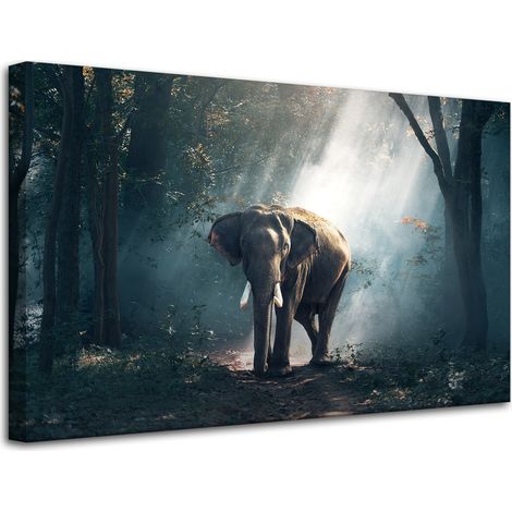 Lienzo impreso con diseño de elefante, 80x50 cm.