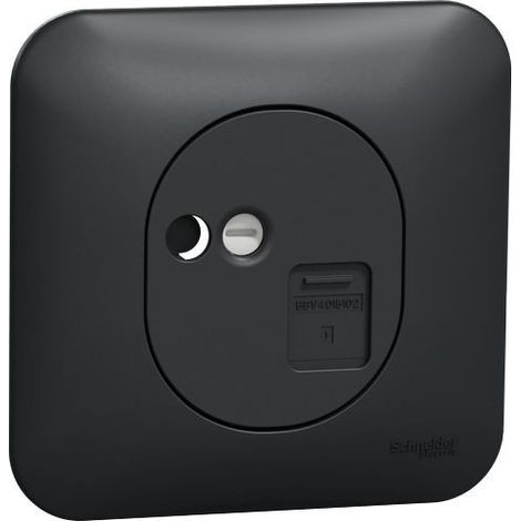 Ovalis - Prise RJ45 - cat.5e UTP - grade 1 - téléphone Avec plaque -Anthracite (S460471)